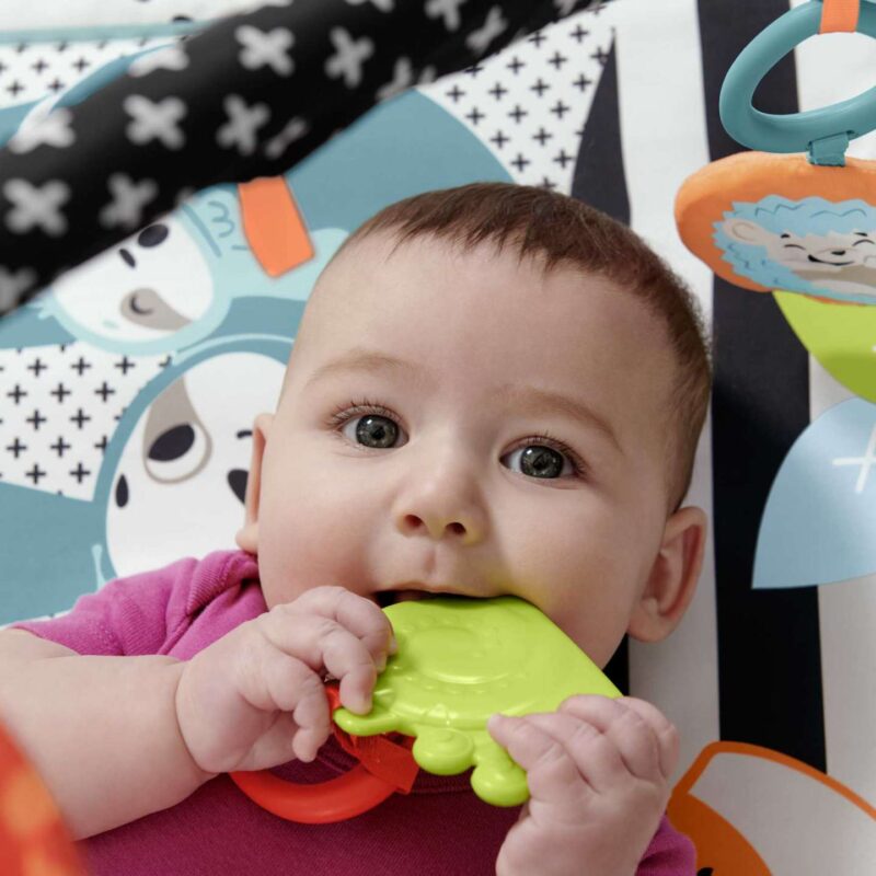 Palestrina Musicale 3 in 1 Fisher-Price - immagine 2